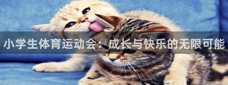 小学生体育运动会：成长与快乐的无限可能