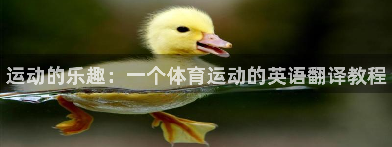 运动的乐趣：一个体育运动的英语翻译教程