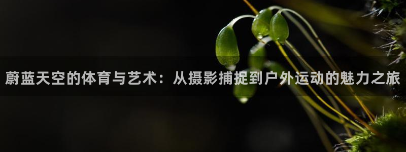 蔚蓝天空的体育与艺术：从摄影捕捉到户外运动的魅力之旅
