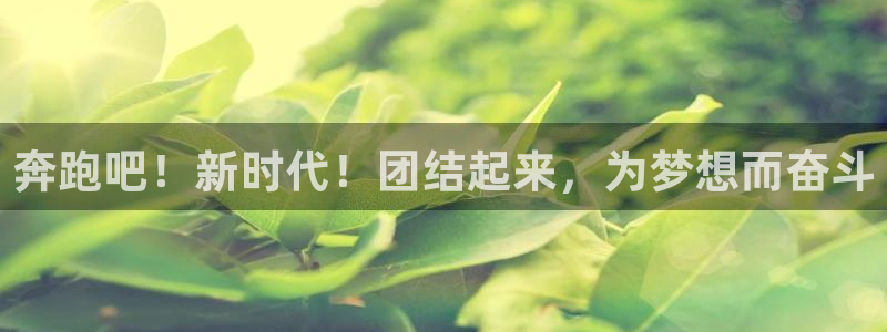 奔跑吧！新时代！团结起来，为梦想而奋斗